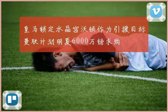 皇马锁定水晶宫沃顿作为引援目标曼联计划明夏6000万镑求购