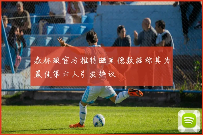 森林狼官方推特晒里德数据称其为最佳第六人引发热议