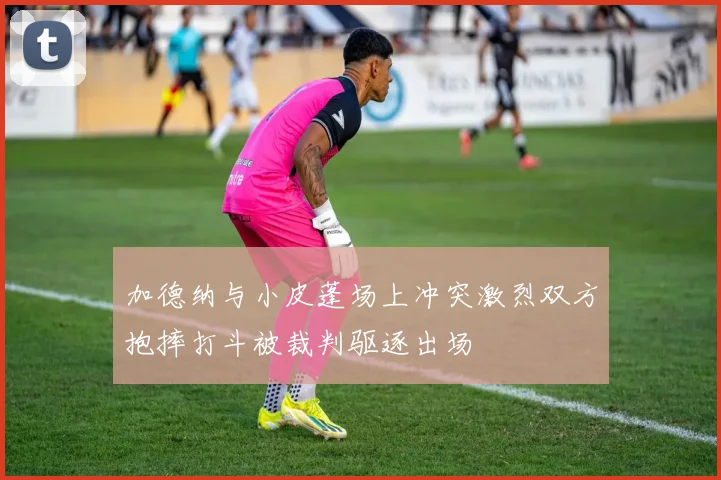 加德纳与小皮蓬场上冲突激烈双方抱摔打斗被裁判驱逐出场